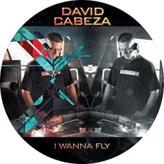 Carátula de I Wanna Fly