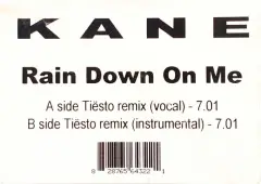 Carátula de Rain Down On Me (Tiësto Remixes)