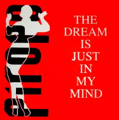 Carátula de The Dream Is Just In My Mind