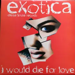 Carátula de I Would Die For Love