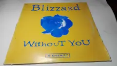 Carátula de Without You