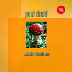 Carátula de Missing Inside Me