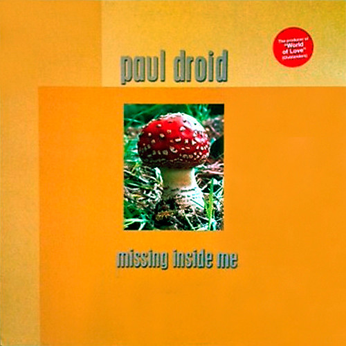 Paul Droid – Missing Inside Me